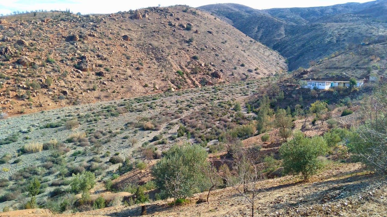 الاجواء القروية في صباح الباكر وسط الجبال الريف واد غيس نواحي الحسيمة