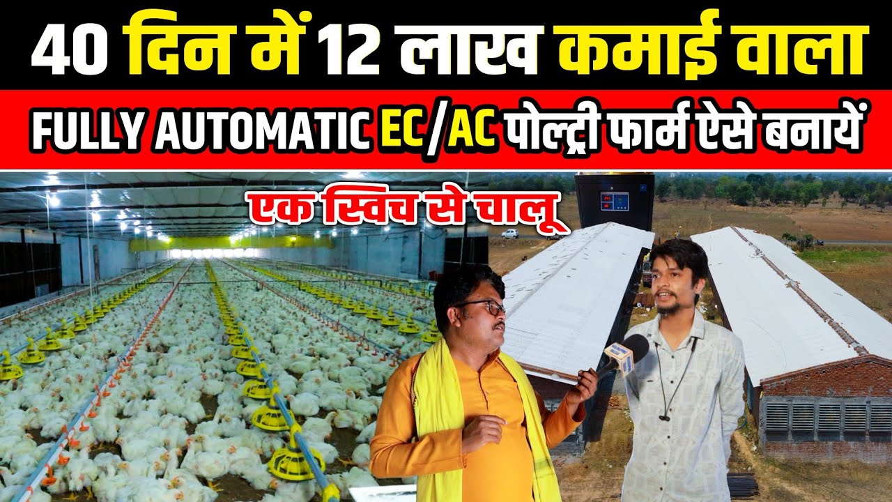 40 दिन में 12 लाख कमानेवाला Ac पोल्ट्री फार्म ऐसे बनाएं। Fully Automatic Ec Farm shed kaise Banayen।