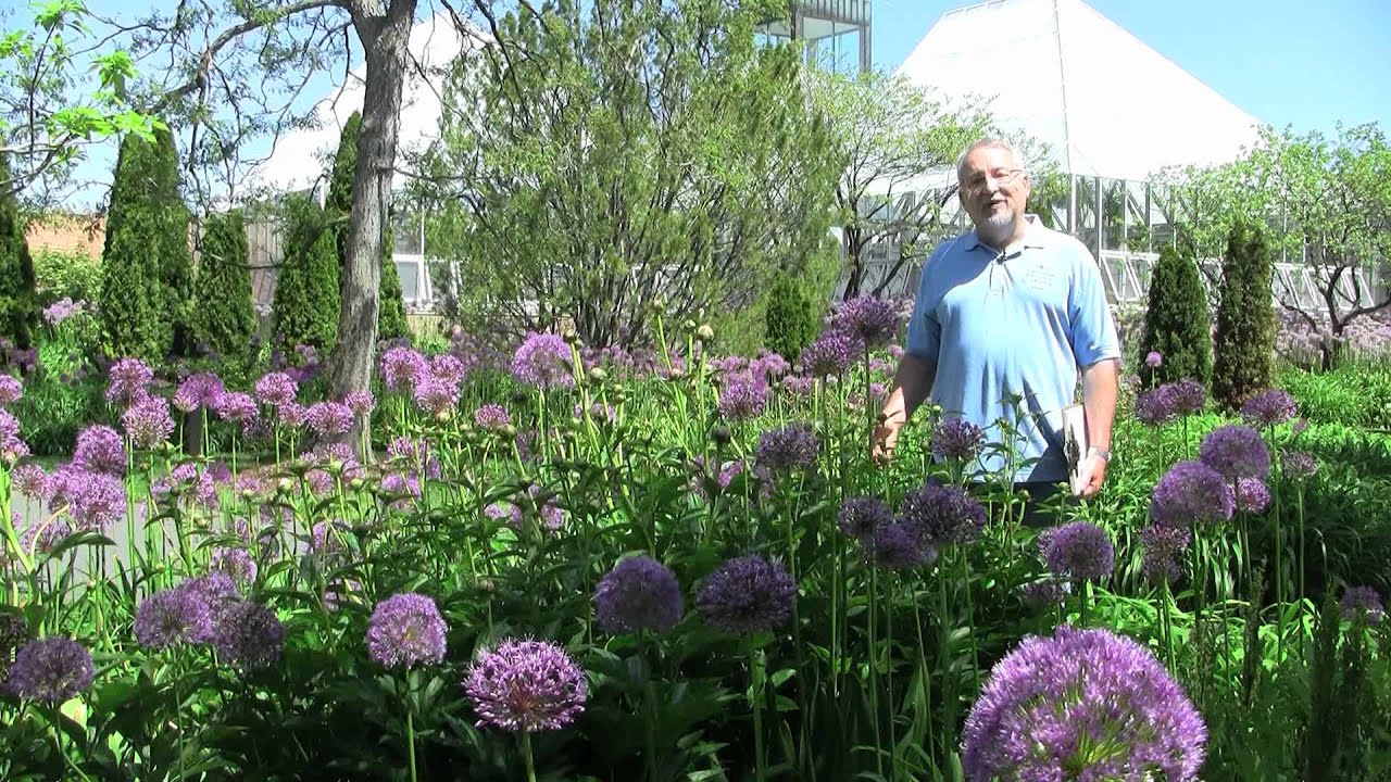 Flowers on the First Day of Summer