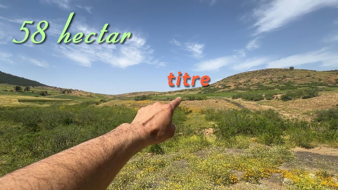 🌲ارض محفضة صالحة لزراعة الزيتون مساحة كبيرة الماء متوفر مع موقع متميز و ثمن مناسب🌲4 دراهم للمتر فقط💰