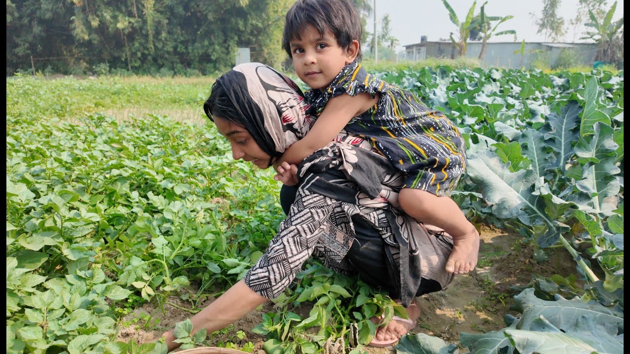 তারার চেয়ে মনে হয় আয়াতের শক্তি বেশি | Doyel Agro