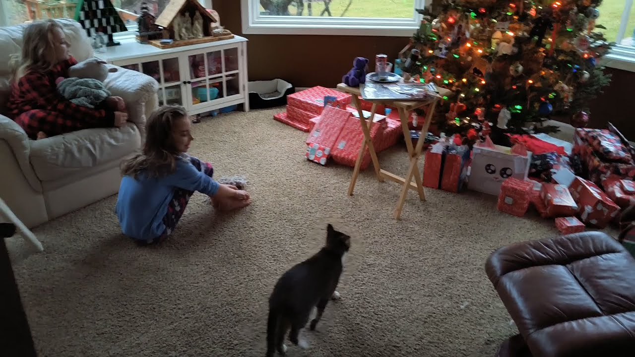 Opening Christmas Presents 2023