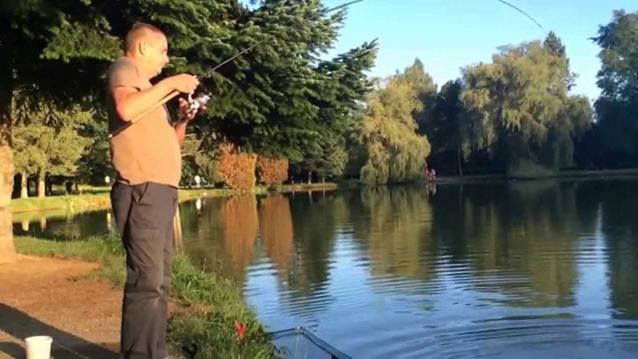 Shimano SpeedMaster Medium Feeder in action - Kőszegi Csónakázó tó