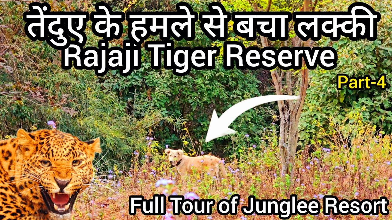 तेंदुए के हमले से बचा लक्की | Tour of Junglee Resort  @VivekAwasthiVlogs #rishikesh #uttrakhand
