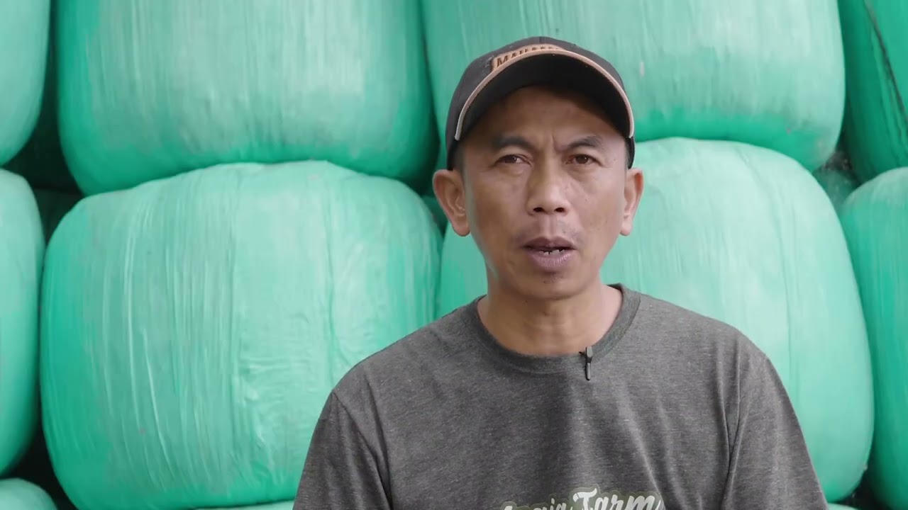 Strategi Penyimpanan Pakan yang Baik