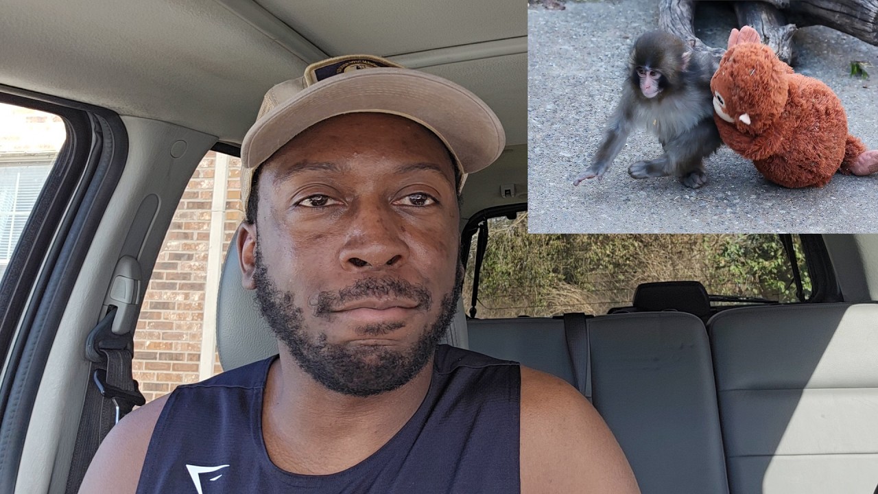 The most viral baby monkey in the world is getting bullied