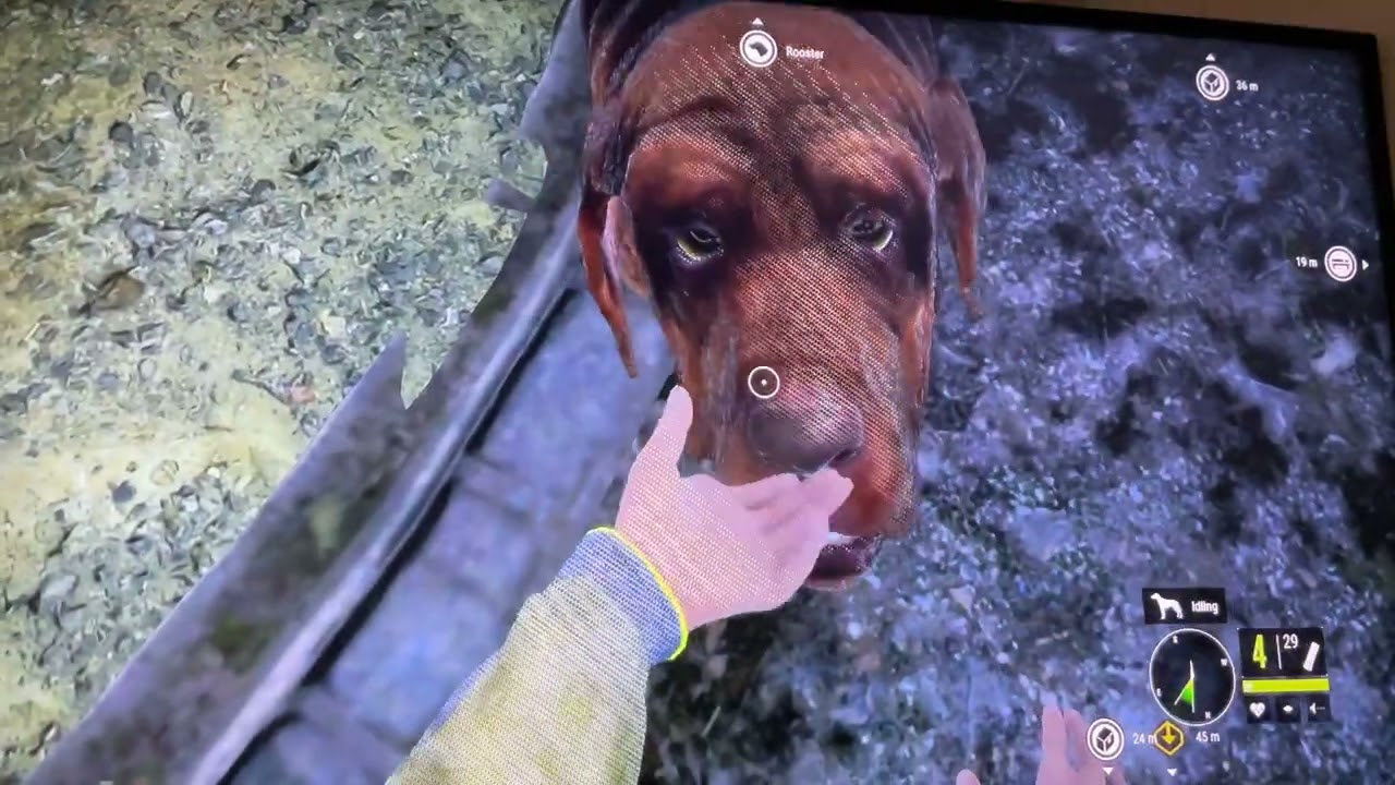 Small game hunting in the hunter call of wild