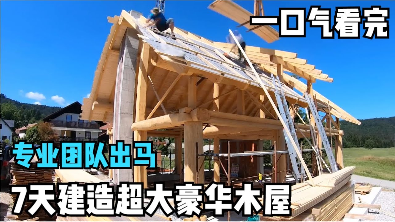 一口气看完，专业团队出马，7天建造超大豪华木屋，真没见过这么牛的团队#改造 #极限生存#荒野独居#荒野求生#求生荒野#荒野生存#解压