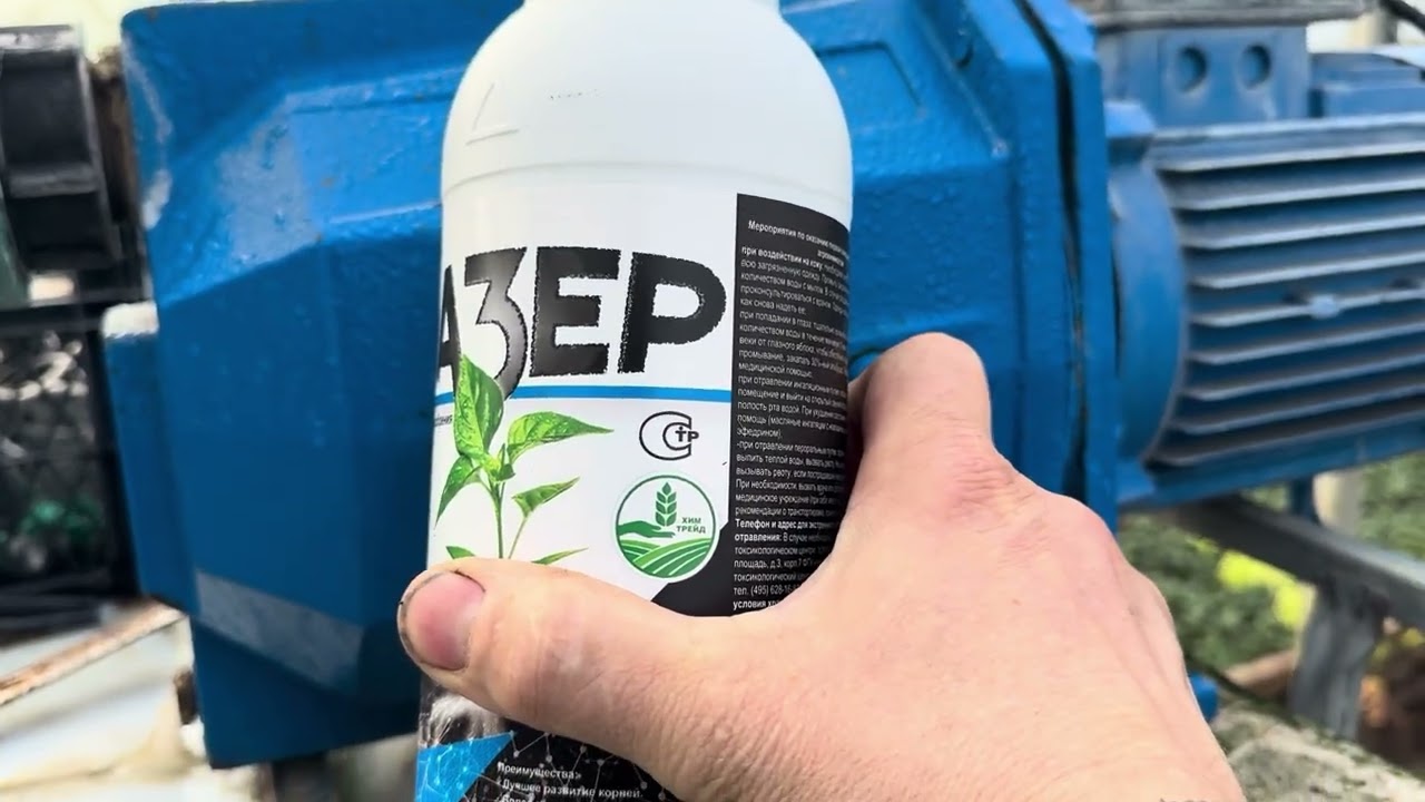 Полив перед заморозками 