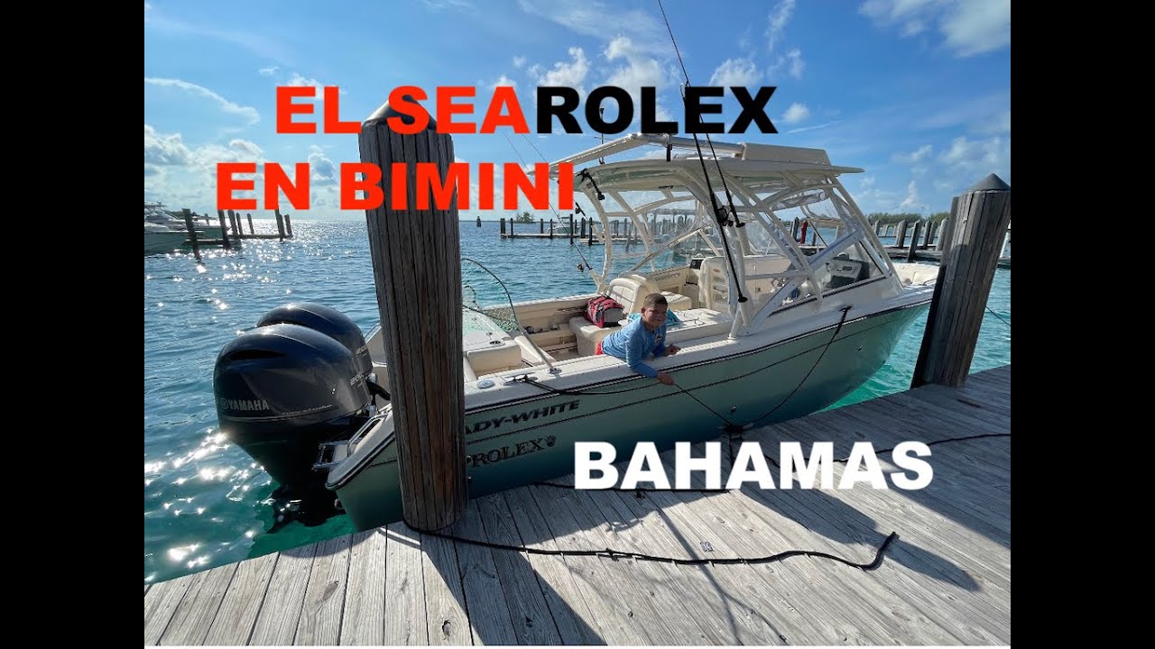 🛥viaje a ⚓️bimini 🇧🇸bahamas 🏝