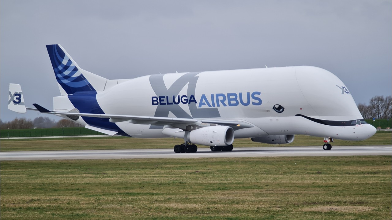 Landing Airbus Beluga XL (N.3)