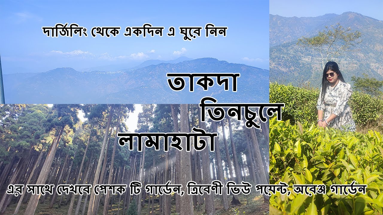 Takdah, Tinchuley, Lamahatta Tour Guide | One Day Tour Form Darjeeling