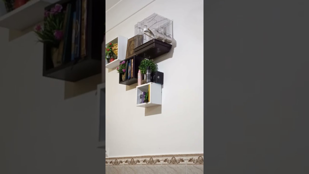 الموس البوسعادي يقدم لوقريسيط الشلفي