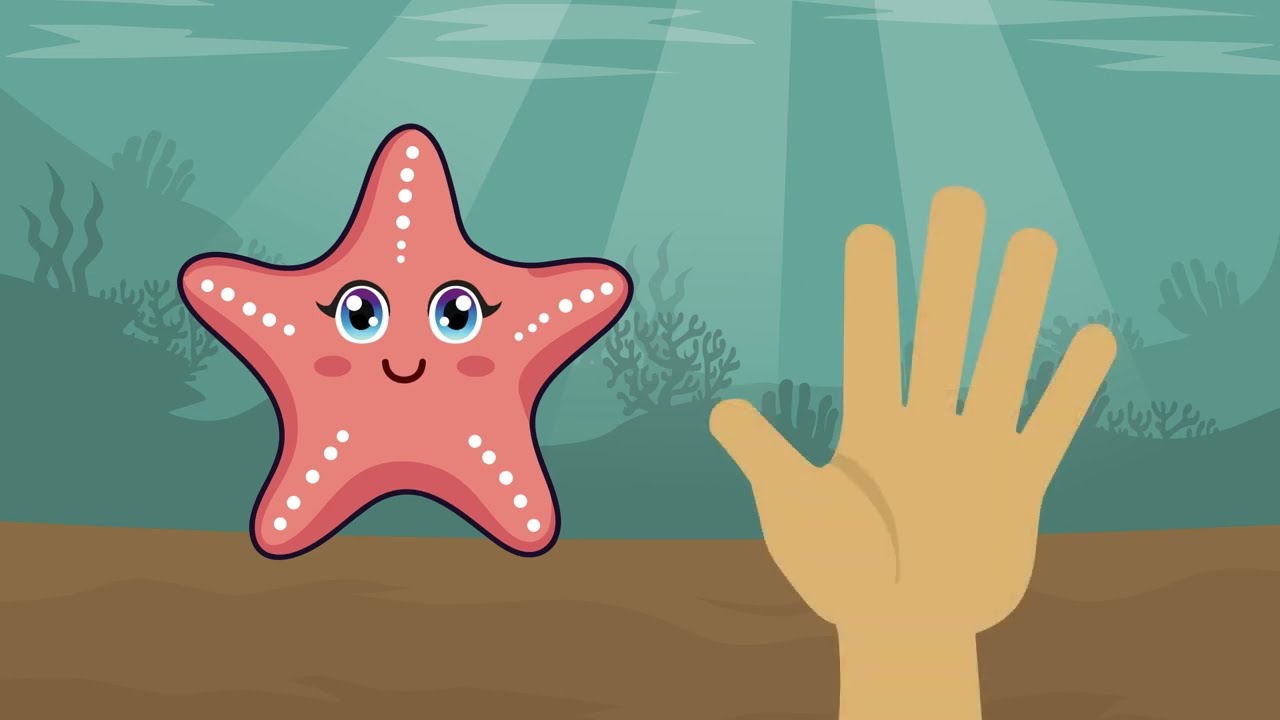 Bubble Break: Starfish Breathing