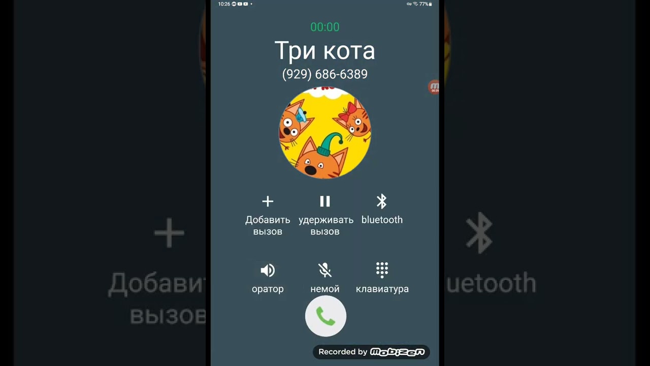 Три кота задолбали звонить