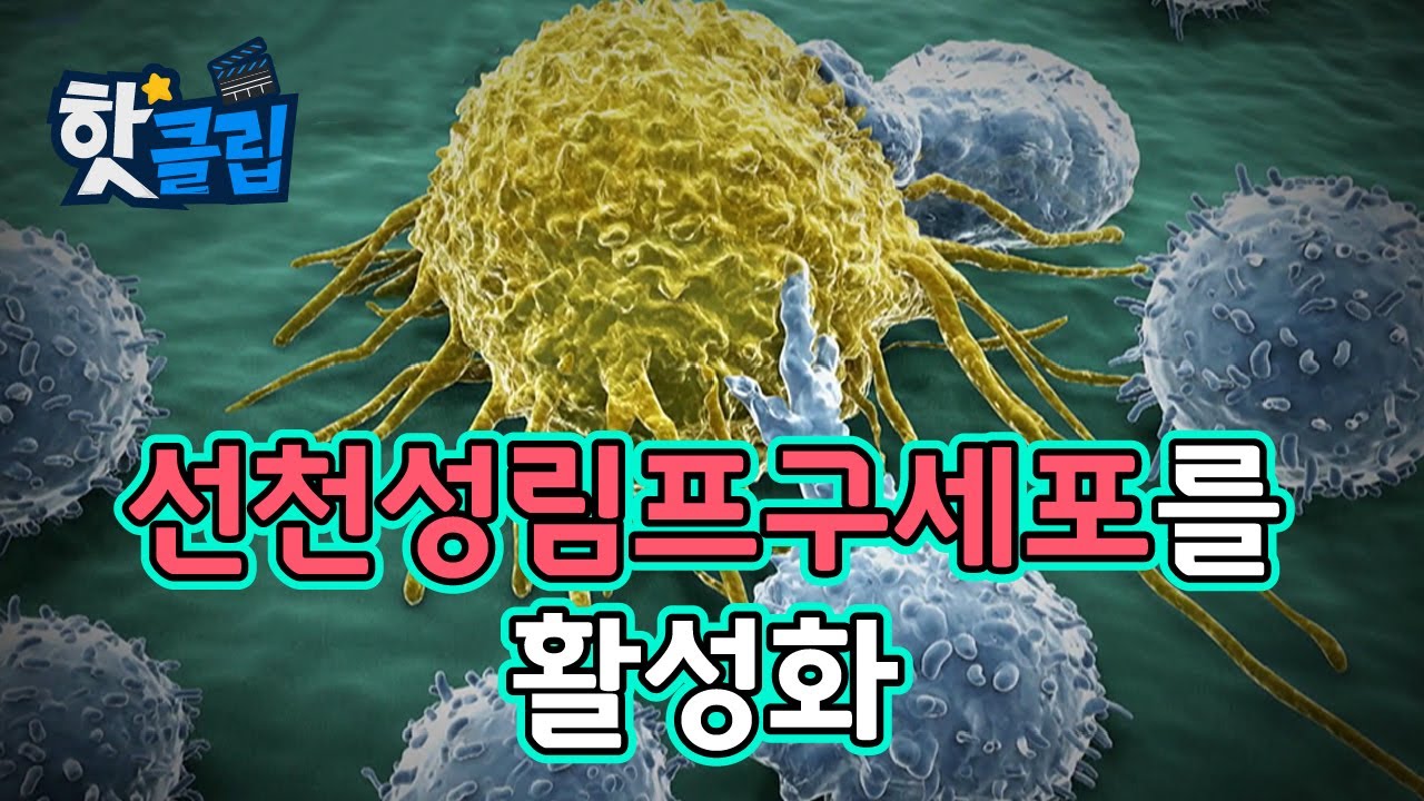 선천성림프구세포를 자극하는 미세먼지 [핫클립] / YTN 사이언스