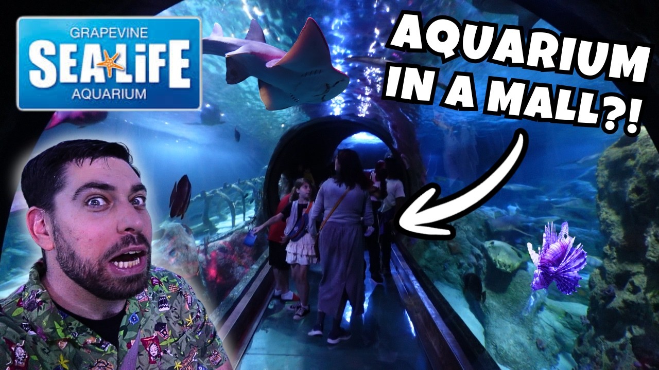 A Mall Aquarium Shouldn't Be This Good | Sea Life Grapevine Full Tour