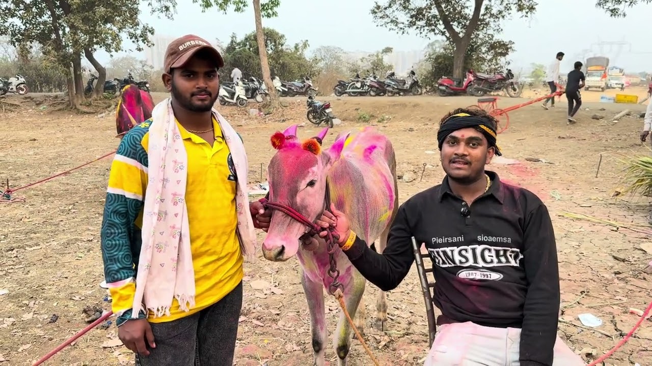 न्हावी चा वजीर ची पैदास मुंबई मध्ये पहिला गुलाल 😍