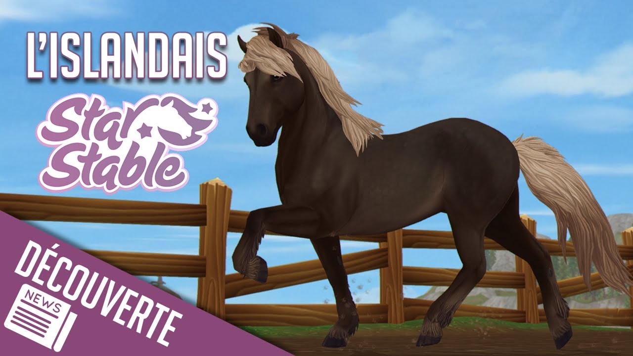 ACHAT DU CHEVAL ISLANDAIS | Star Stable - SSO