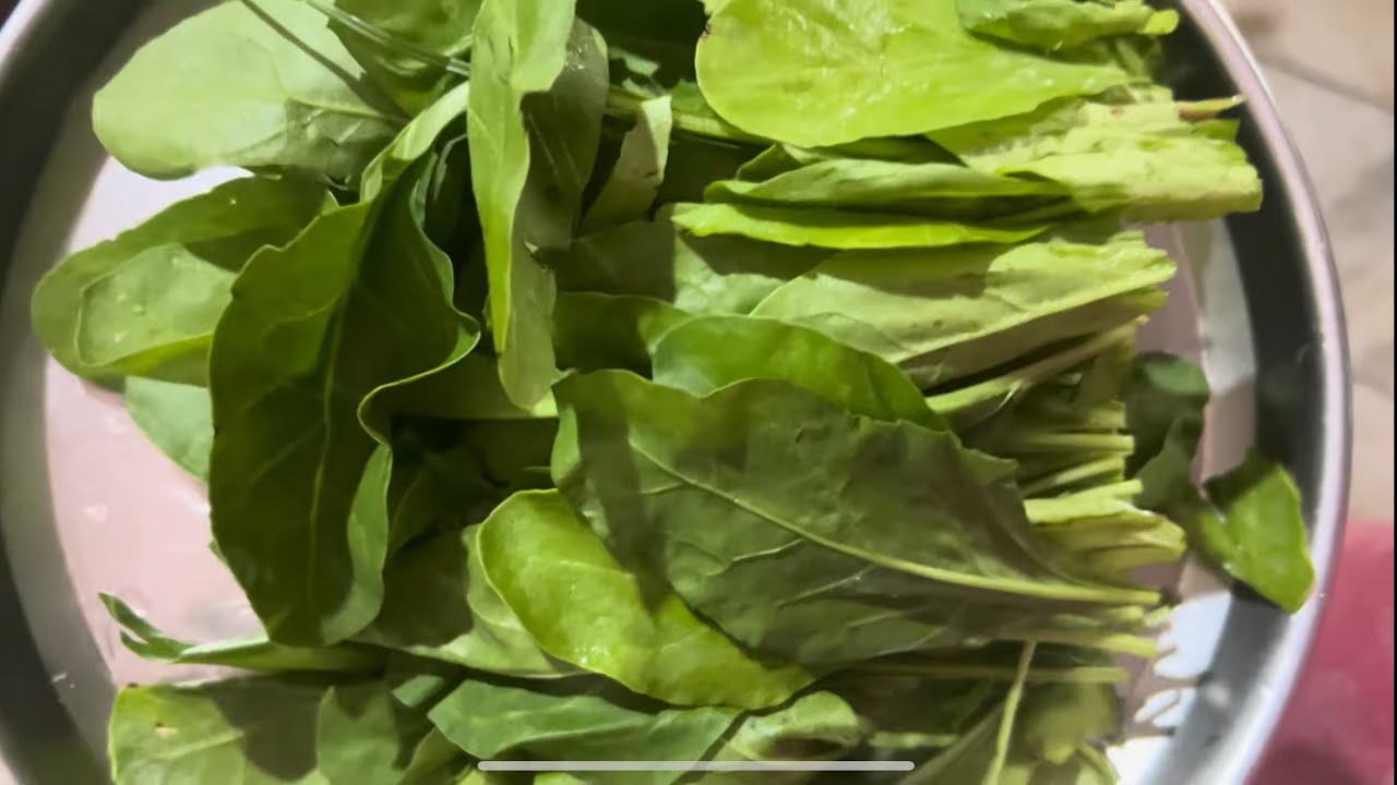 Palak keerai kootu in tamil #spinach #palakkeerai #healthy #easy #recipe 