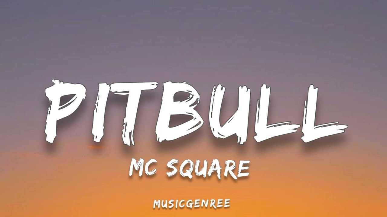MC SQUARE - Pitbull (Lyrics)