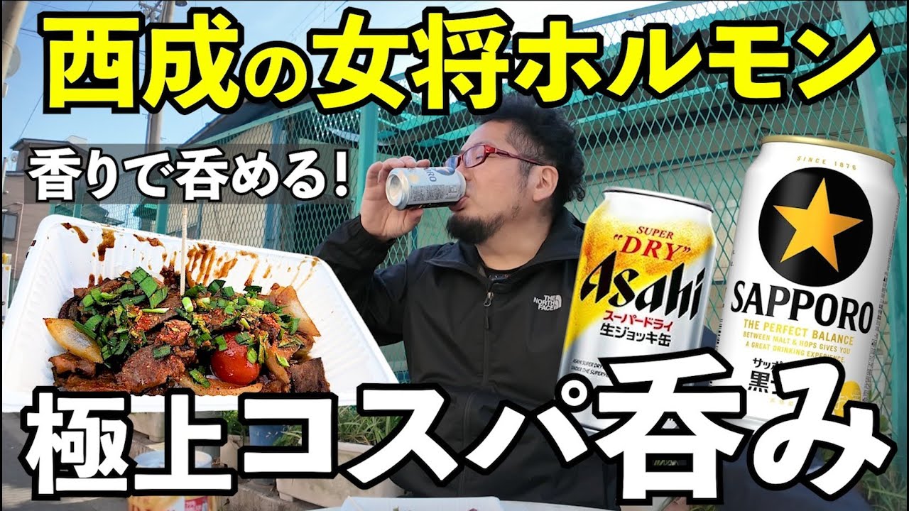 コスパ最強ホルモン【西成女将ホルモン】#1人飲み #グルメ #西成