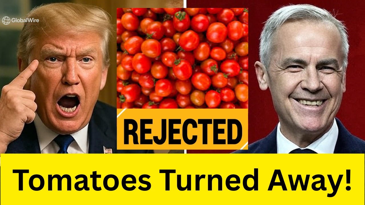 U.S. Tomato Shipments BLOCKED &mdash; Mexico&rsquo;s Premium Tomatoes STRIKE Billion Dollar Deals
