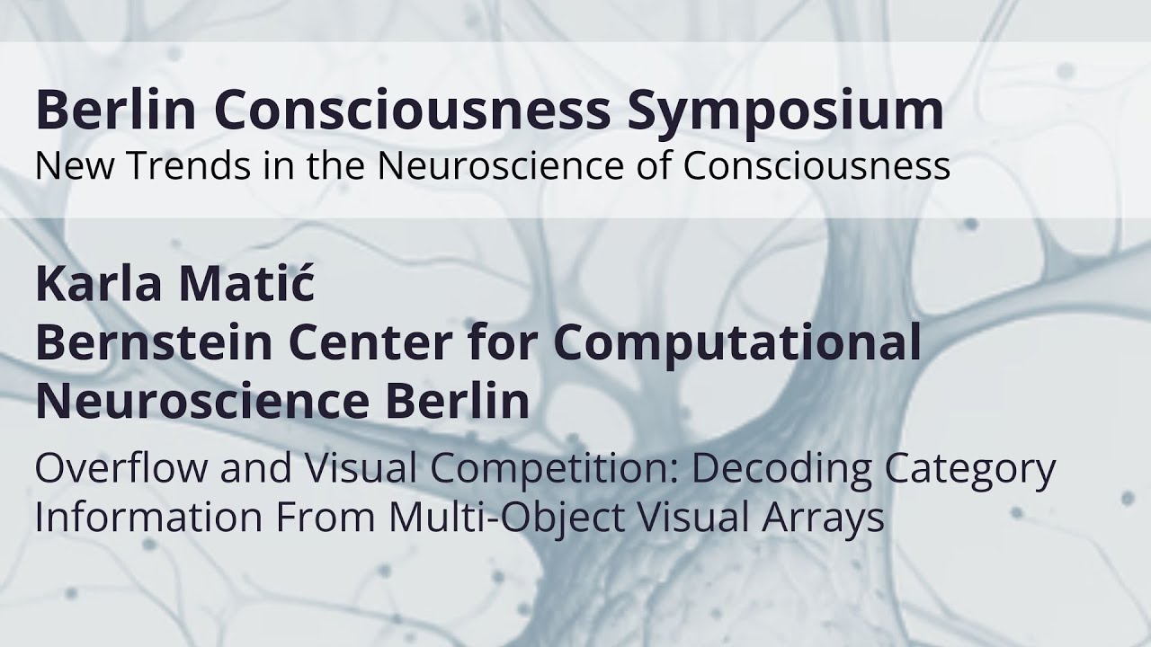 Overflow and Visual Competition: Decoding Category Information From Multi-Object Visual Arrays