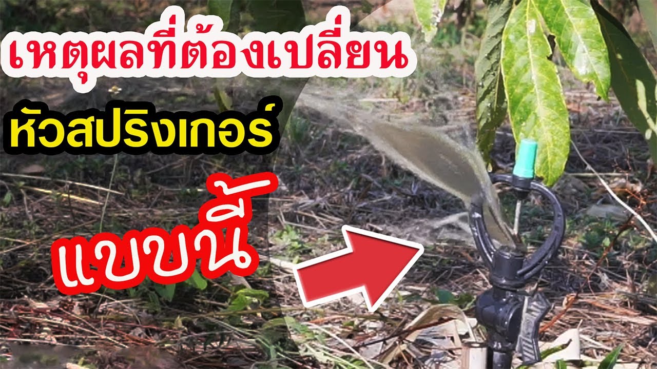 เหตุผล! ที่ผมต้องเปลี่ยนหัวสปริงเกอร์แบบนี้ออกจากสวน