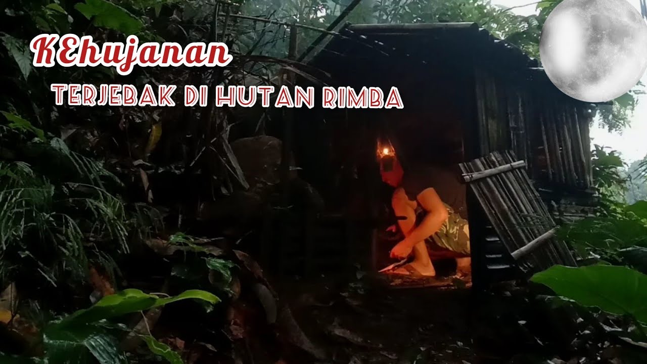 kehujanan terjebak di jungle ,hutan rimba, berteduh di shelter bipak bambu | kemalaman   di hutan