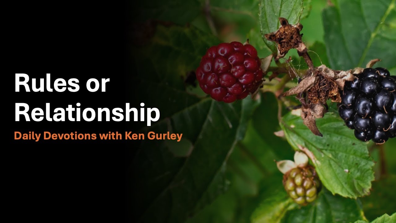 Rules or Relationship?