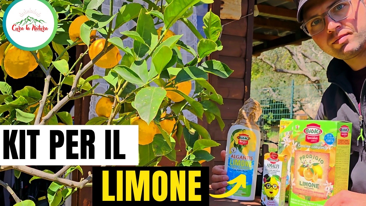 🍋 KIT Per La Cura DEL LIMONE 🍋 Concime-Bioenergizzante-Algantis-Olio Di Soia-Sapone Molle-Gel Silice