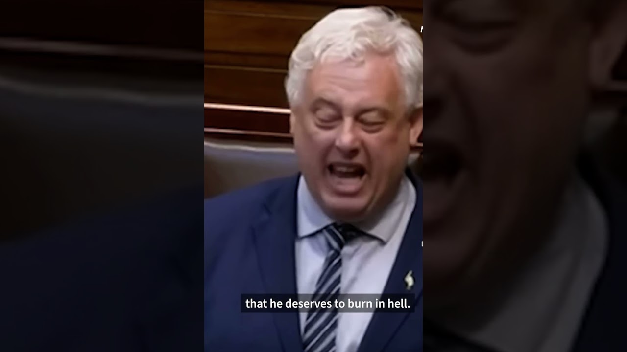 I hope Benjamin Netanyahu burns in hell -Irish MP  #netanyahu #israel #rafah #gaza #irish #youtube
