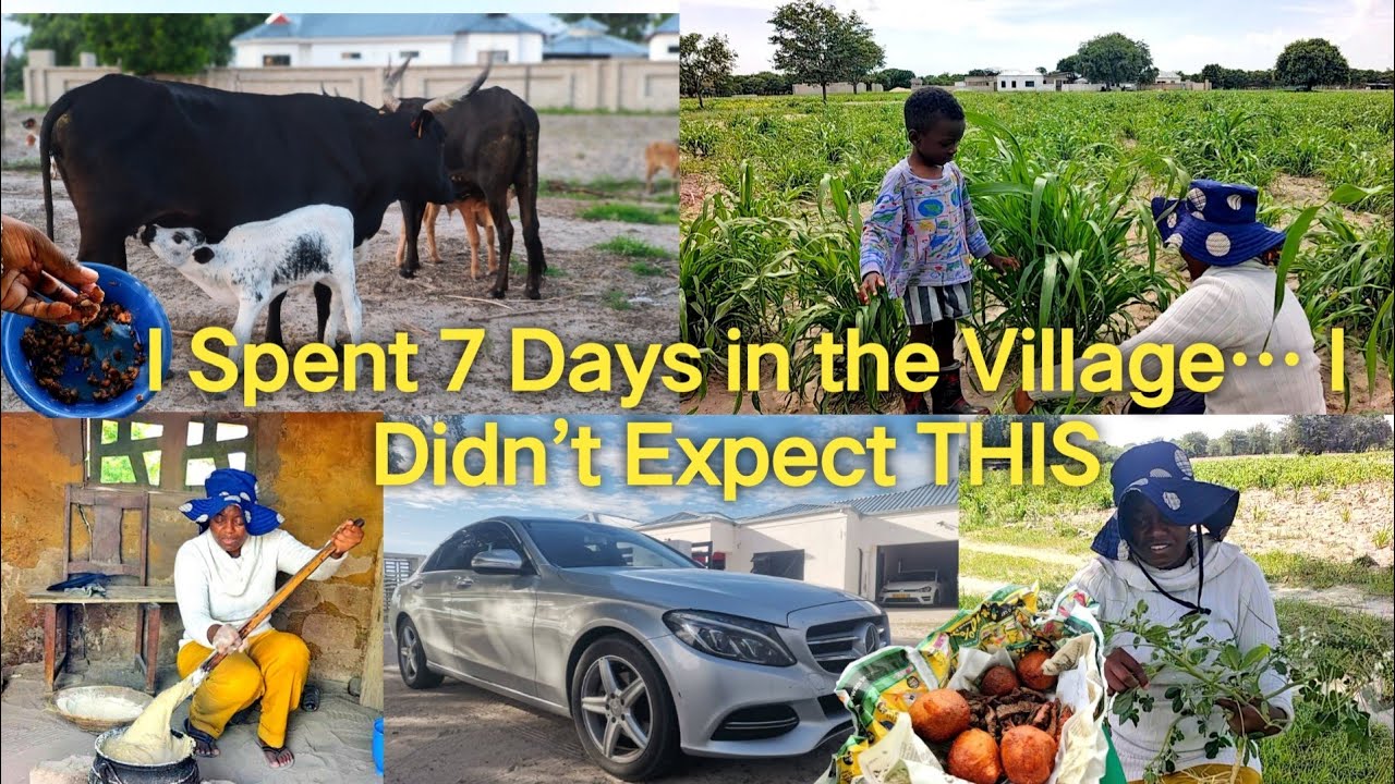 The Return ,After My @IShowSpeed  Vlog Went Viral… I Went Back to Village Life @lineekelashikwambi 