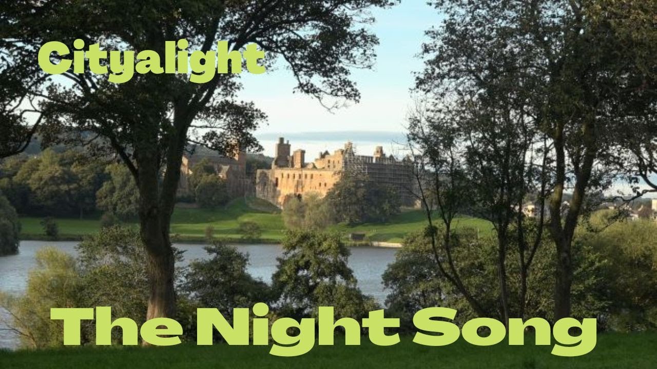 THE NIGHT SONG by CITYALIGHT