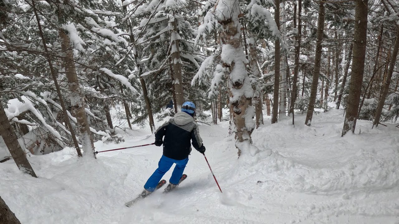Whiteface Mountain - Sugar Valley Glades