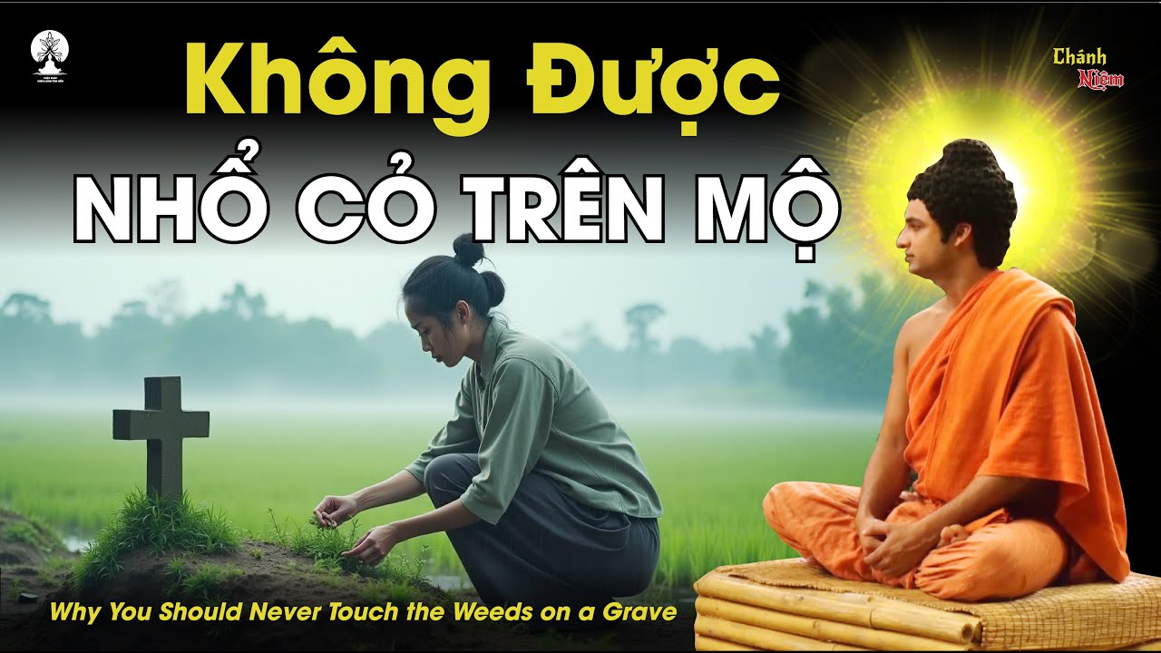 Tại Sao Nhổ Cỏ Trên Mộ Là Sai Lầm NGHIÊM TRỌNG? Đức Phật Tiết Lộ Sự Thật Ít Ai Biết