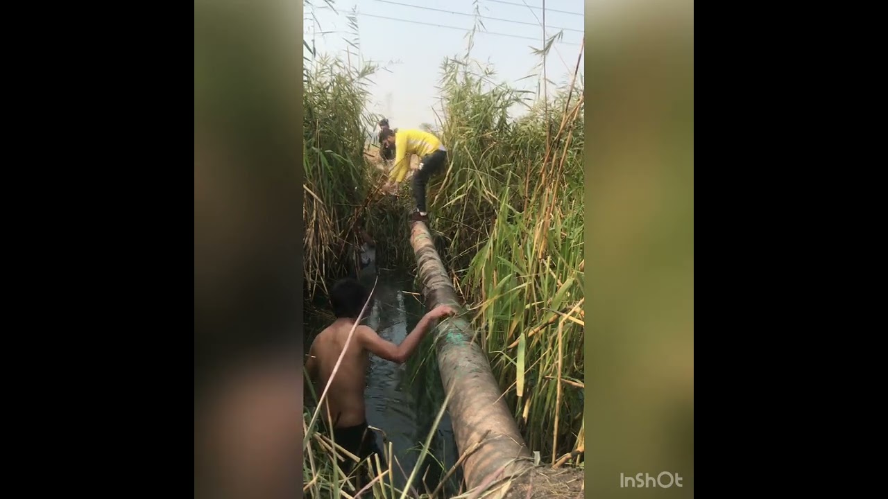 صيد سمك 🎣 في احد مناطق بغداد ابو غريب مو سمك ضيمم ومو ونسه ضيمم😳😳