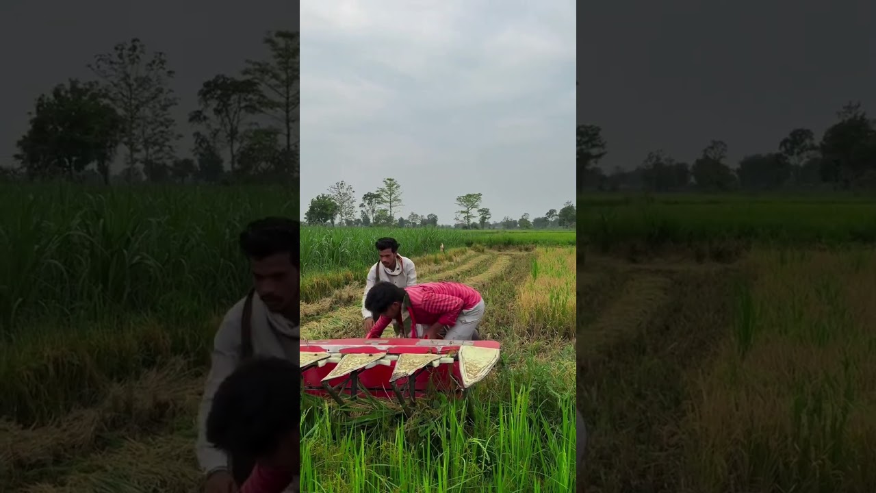 Aj main chalaunga machine #desi #comedy #viral #funny #kisan #dhan #machine #kala #trending #fun