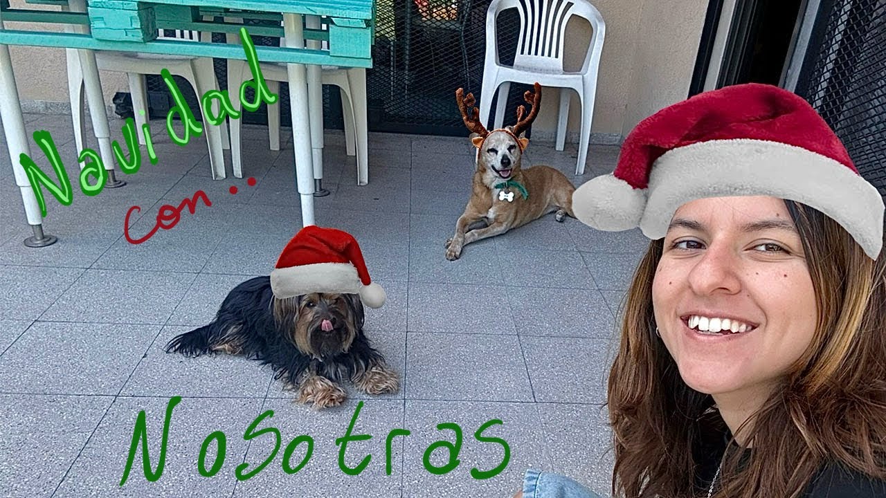 PASÉ NAVIDAD SOLA //vlog 2025