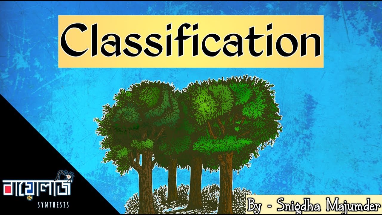 Plant Classification System by Biology synthesis
