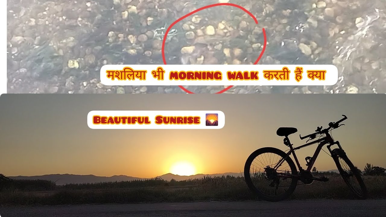 मछलियां 🐠 🐟 भी करती है Morning Walk | Beautiful Sunrise 🌄 | VD Vlogs