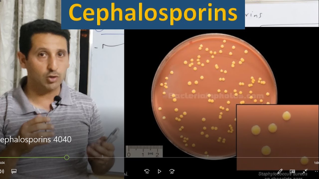 Antibiotics | 4 | Cephalosporins (mechanism, uses, side effects)