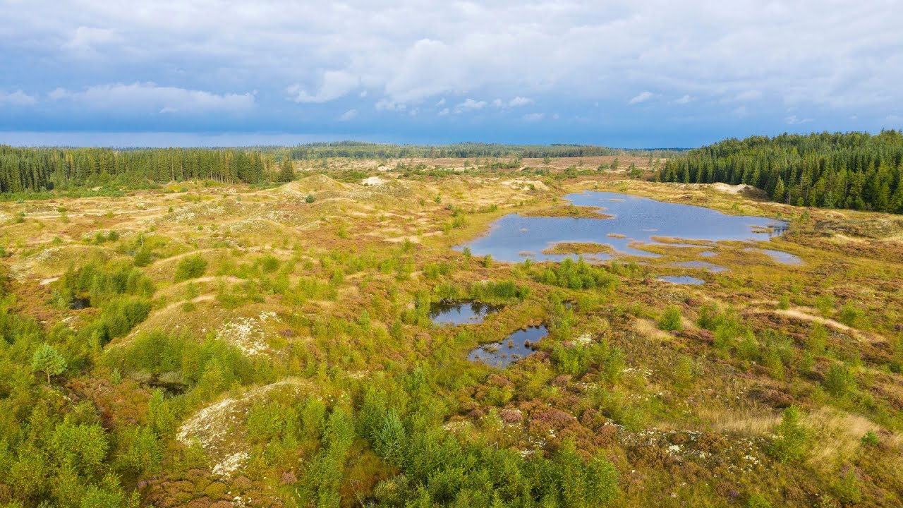 Stråsø Naturnationalpark