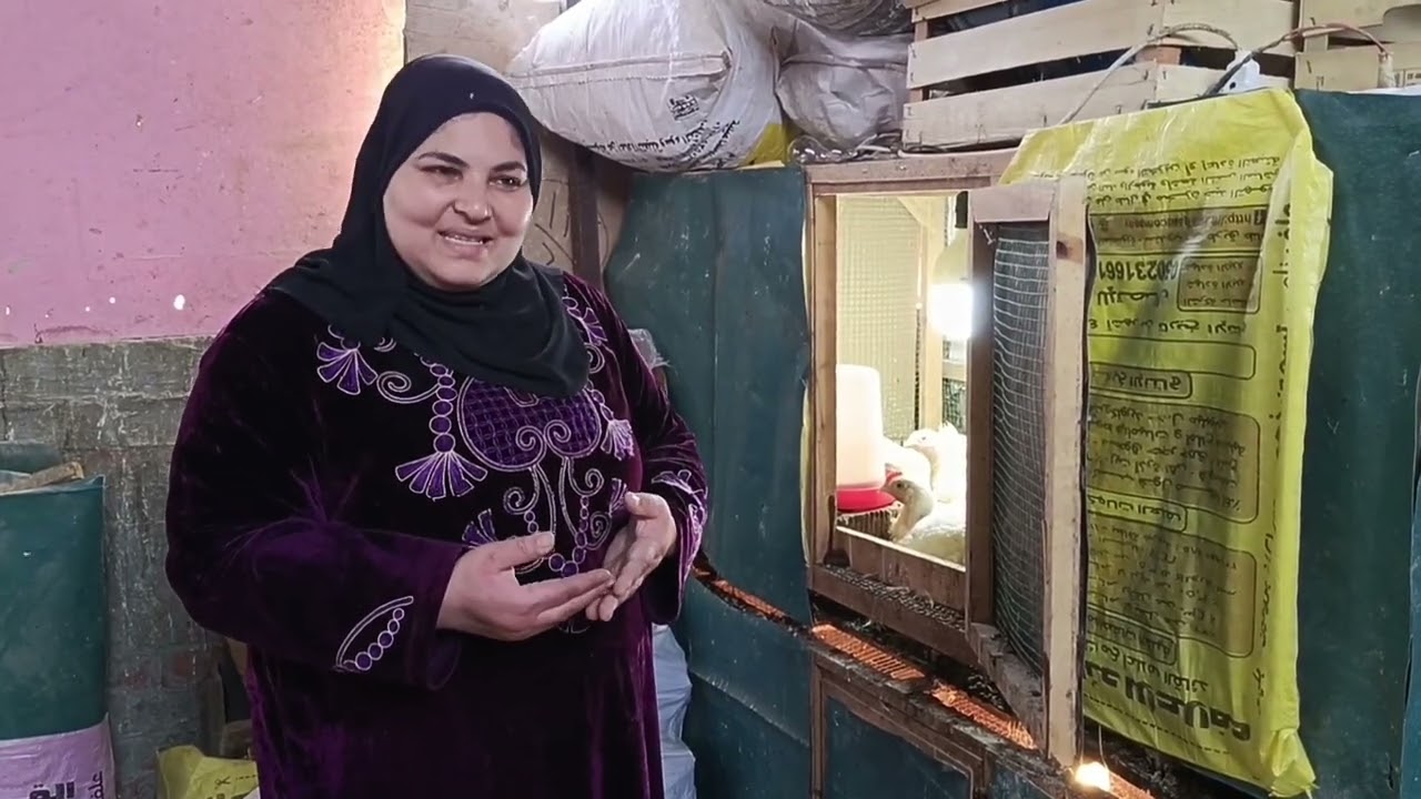 سؤال مهم هي التربيه حظ ولا شطاره
