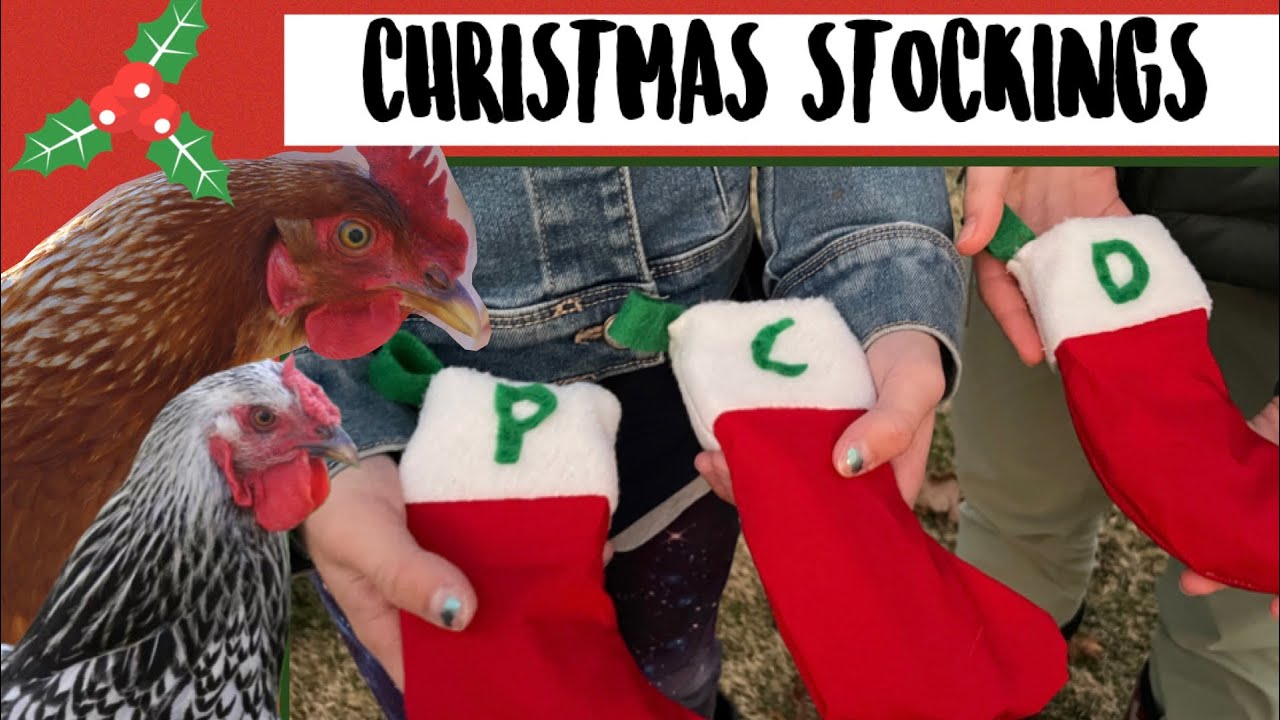 HOW TO MAKE CHRISTMAS STOCKINGS FOR YOUR CHICKENS/PETS!🎄🎁🎅