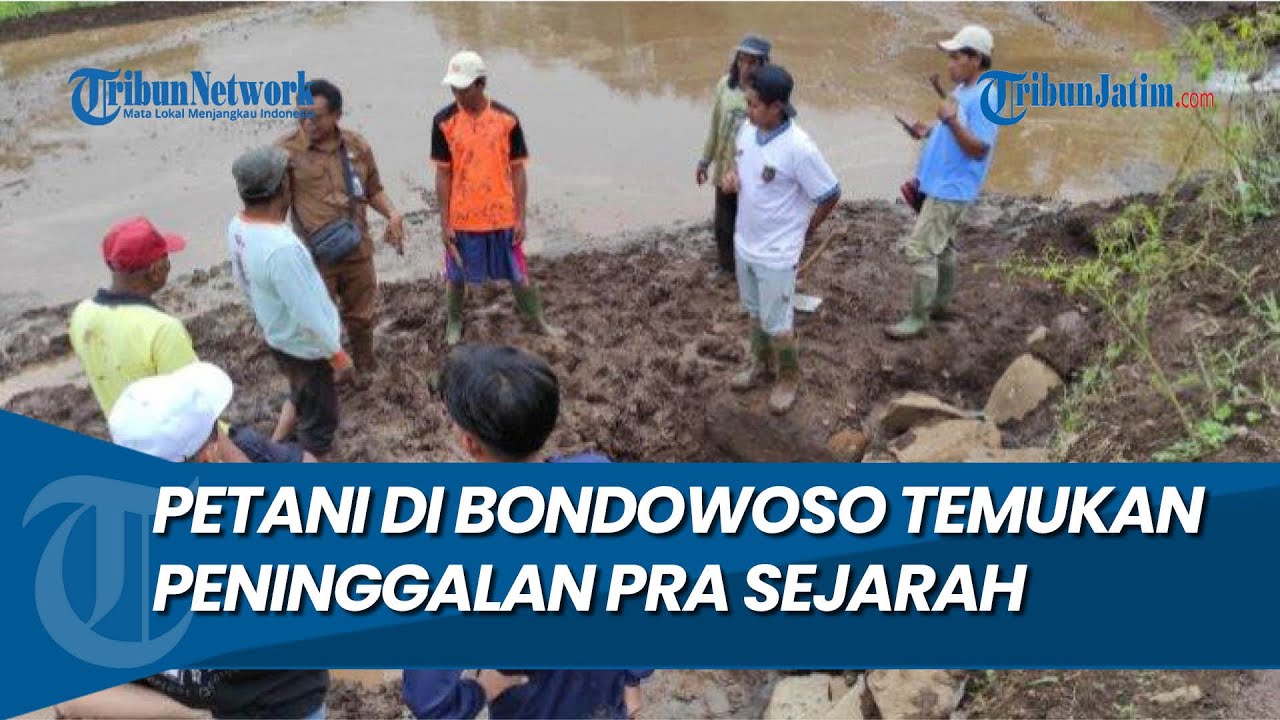 KUBUR LEMPENG BATU, Petani di Bondowoso Temukan Peninggalan Pra Sejarah