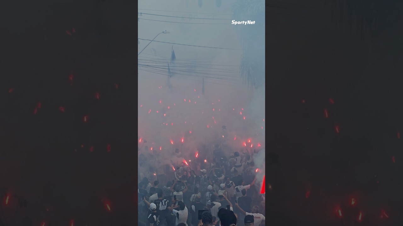 QUE ESPET&Aacute;CULO A TORCIDA DA PONTE PRETA! ⚫️⚪️🦍DIA HIST&Oacute;RICO NO MAJESTOSO🔥