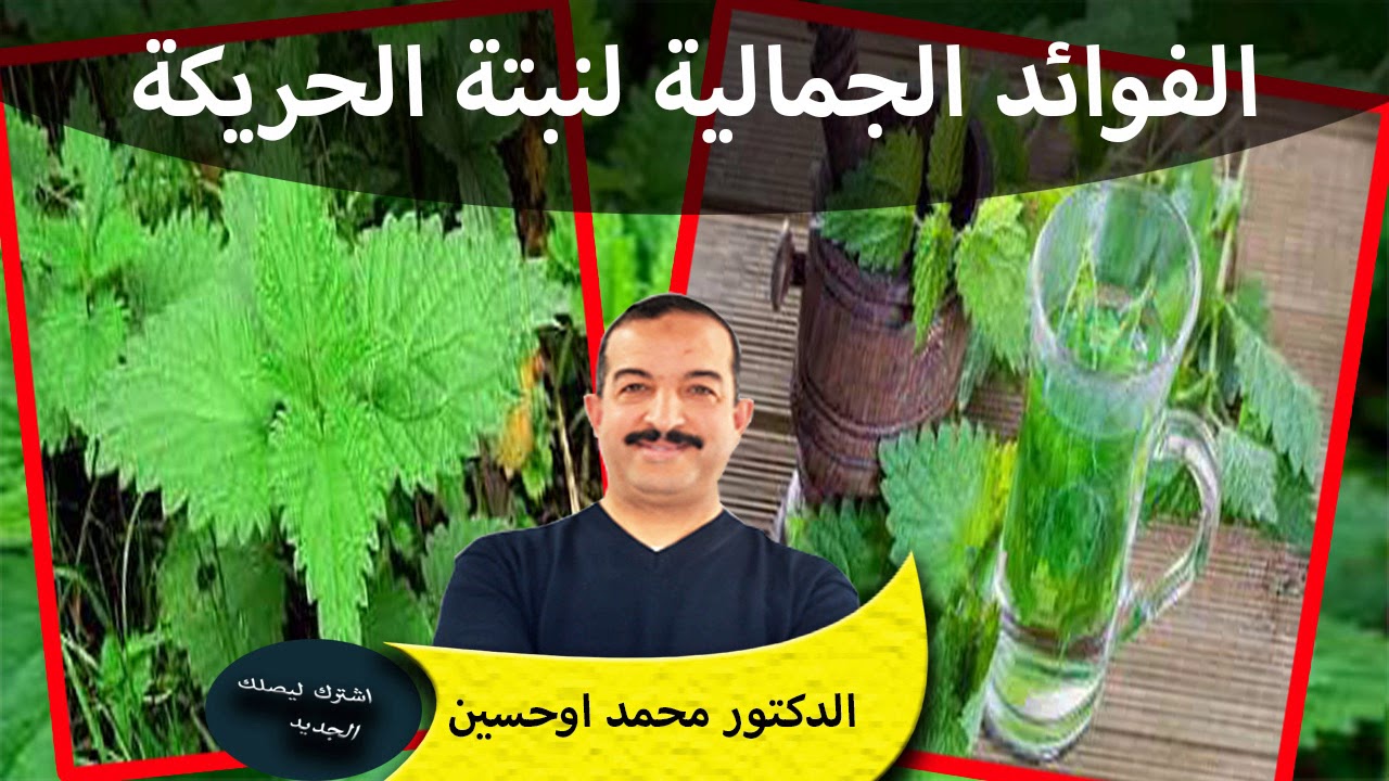 الفوائد الجمالية و الصحية وطريقة استعمالها للاستفاذة من نبتة الحريكة الدكتور محمد اوحسين