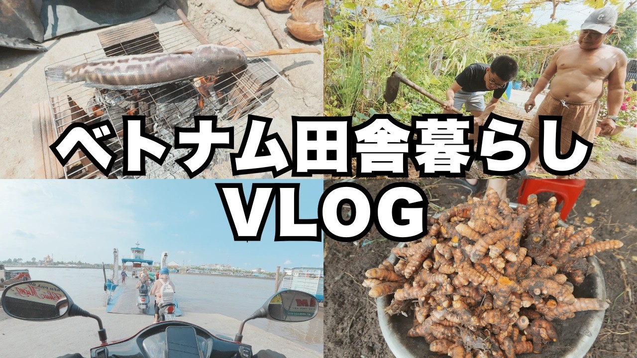 【VLOG】ベトナムの田舎で暮らす30歳無職男性。貯金を切り崩しながら生きながらえる日々。